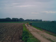 1M4110074