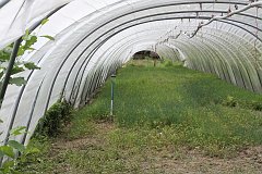 IMG_0391_DxO 