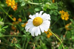 IMG_0394_DxO 