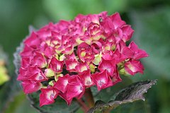 IMG_0417_DxO 