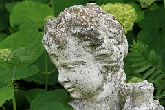 IMG_0420_DxO 