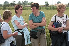 IMG_0463_DxO 