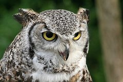 IMG_0489_DxO 